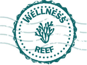 Reef - large